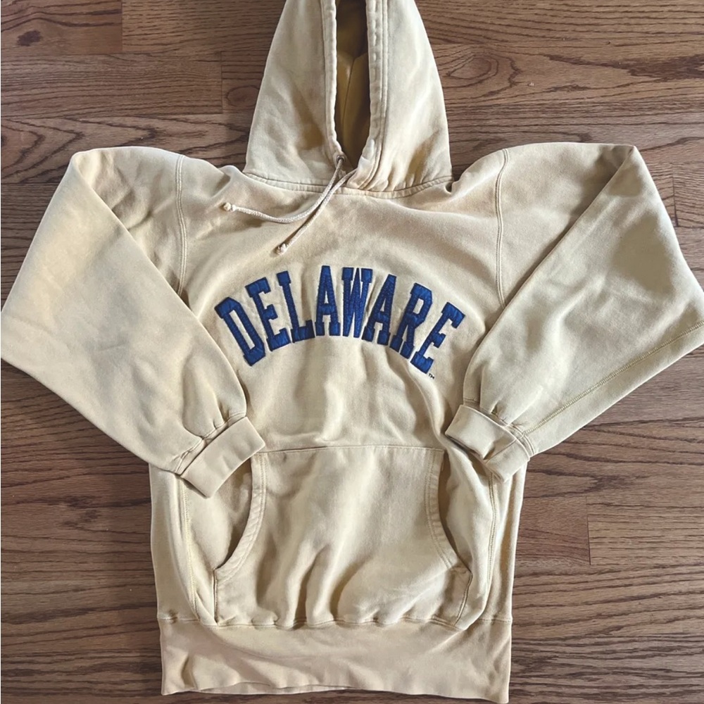 Delaware hoodie